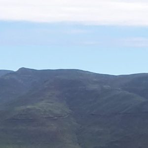 Mountain_Herbs_Lesotho